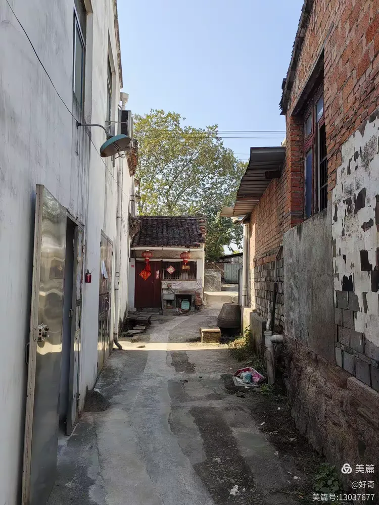 义乌市江湾村随拍